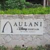 The sign before entering the resort. You can spot the Aulani from a distance, however.
